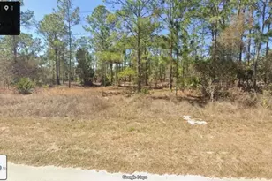 1303 McArthur Ave, Lehigh Acres, FL 33972 - Photo 1