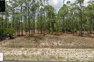1215 Canton Ave, Lehigh Acres, FL 33972 - Photo 1