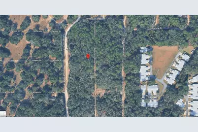 709 Dalwood Ave, Inverness, FL 34453 - Photo 3