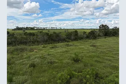 0 County Line Rd E, Fort Meade, FL 33841 - Photo 11
