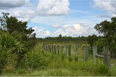 0 County Line Rd E, Fort Meade, FL 33841 - Photo 13