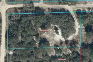 03400-239-00 NE 125th Ave, Bronson, FL 32621 - Photo 1