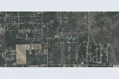 03400-239-00 NE 125th Ave, Bronson, FL 32621 - Photo 3
