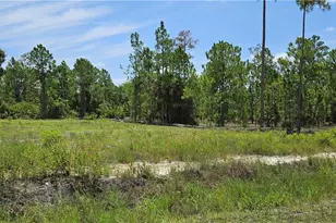 1218 North Ave, Lehigh Acres, FL 33972 - Photo 1