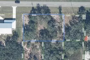 2733 W County Line Rd, Avon Park, FL 33825 - Photo 1