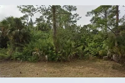 2321 Moore Ave, Alva, FL 33920 - Photo 1