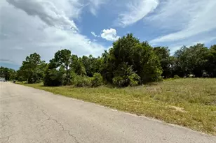 1907 Coy Ave N, Lehigh Acres, FL 33971 - Photo 1
