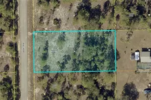 316 Grant Ave, Lehigh Acres, FL 33936 - Photo 1