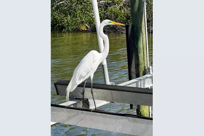 11242 Matlacha Ave, Matlacha, FL 33993 - Photo 9