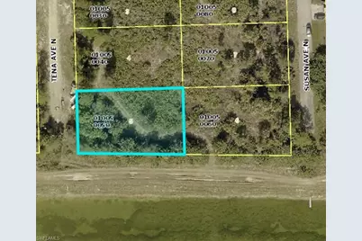6000 Tena Ave N, Lehigh Acres, FL 33971 - Photo 3