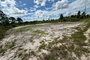 649 Ironwood Ave S, Lehigh Acres, FL 33974 - Photo 1