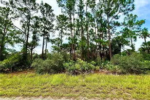 4203 E 27th St, Alva, FL 33920 - Photo 1