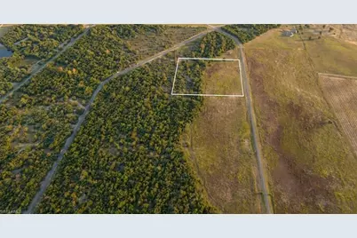 Se 136th Ter, Morriston, FL 32668 - Photo 5