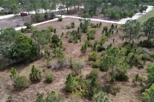 49151 Bermont Rd, Punta Gorda, FL 33982 - Photo 1