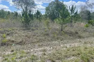 763 Bedford Dr, Lehigh Acres, FL 33974 - Photo 1