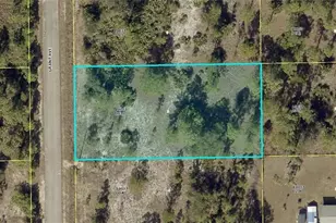 318 Grant Ave, Lehigh Acres, FL 33936 - Photo 1