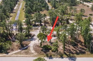1032 Draper St, Lehigh Acres, FL 33974 - Photo 1
