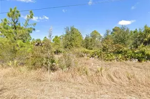 2802 39th St W, Lehigh Acres, FL 33971 - Photo 1
