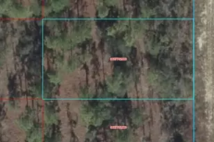 06877-028-00 SW 135th Ct, Dunnellon, FL 34431 - Photo 1