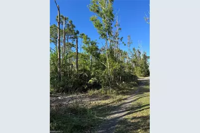Guava Ave, Bokeelia, FL 33922 - Photo 3