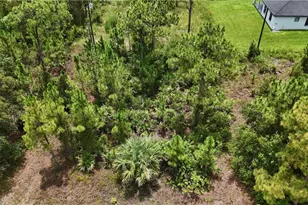 2402 East 10th Street, Lehigh Acres, FL 33936 - Photo 1