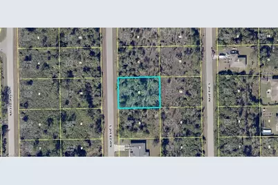 133 Napier Ave S, Lehigh Acres, FL 33974 - Photo 1