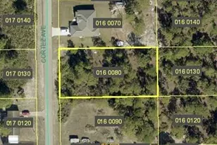 1705 State Ave, Lehigh Acres, FL 33972 - Photo 1