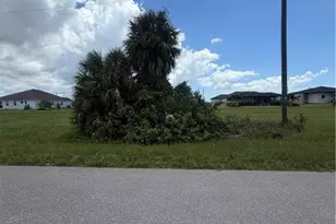 4012 NW 38th Ln, Cape Coral, FL 33993 - Photo 1
