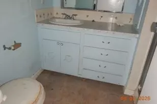 251 Shrub Ln N, North Fort Myers, FL 33917 - Photo 13