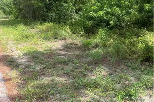 2110 Jackson Ave, Alva, FL 33920 - Photo 1