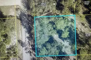 1602 Hibiscus Ave, Lehigh Acres, FL 33972 - Photo 1