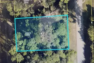 6053 Joplin Ave, Fort Myers, FL 33905 - Photo 1