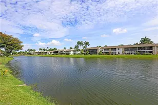 11921 Seabreeze Cove Ln, Fort Myers, FL 33908 - Photo 21