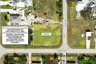 12294 Deepwoods Ave, Port Charlotte, FL 33981 - Photo 1