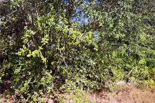 2504 61st St W, Lehigh Acres, FL 33971 - Photo 1
