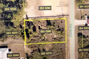 708 Azure Ave, Lehigh Acres, FL 33974 - Photo 1