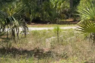 1011 Truman Ave, Lehigh Acres, FL 33972 - Photo 1