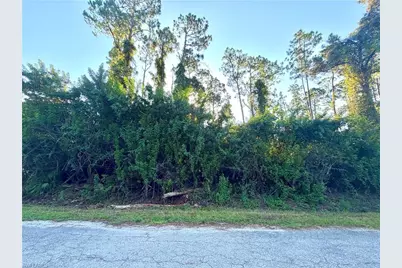 1206 James Ave, Lehigh Acres, FL 33972 - Photo 3