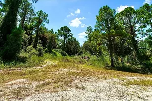 2600 Fitch Ave, Alva, FL 33920 - Photo 1