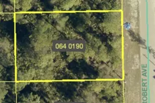 2011 Robert Ave, Alva, FL 33920 - Photo 1