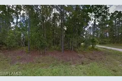 1019 Mexico Ave S, Lehigh Acres, FL 33974 - Photo 1