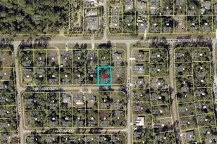 919 Avery St, Lehigh Acres, FL 33974 - Photo 1