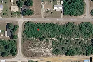 2877 W Rutland Rd, Avon Park, FL 33825 - Photo 1