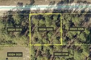 1003 W 18th St, Lehigh Acres, FL 33972 - Photo 1