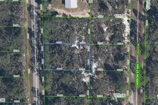 222 Marlin St NW, Lake Placid, FL 33852 - Photo 1