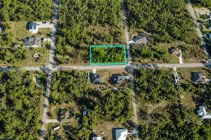 2101 Canton Ave, Alva, FL 33920 - Photo 1
