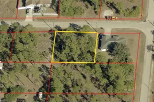 2904 E 23rd St, Alva, FL 33920 - Photo 1