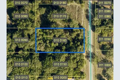 1607 Truman Ave, Lehigh Acres, FL 33972 - Photo 5