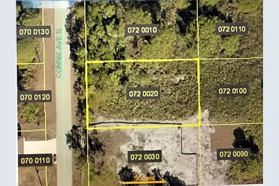 2920 Connie Ave N, Lehigh Acres, FL 33971 - Photo 1