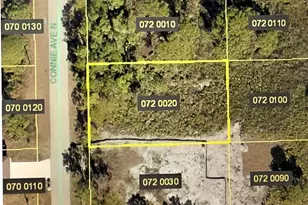 2920 Connie Ave N, Lehigh Acres, FL 33971 - Photo 1